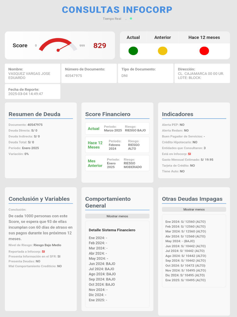 Reporte Infocorp - Knowlers.xyz | PDF