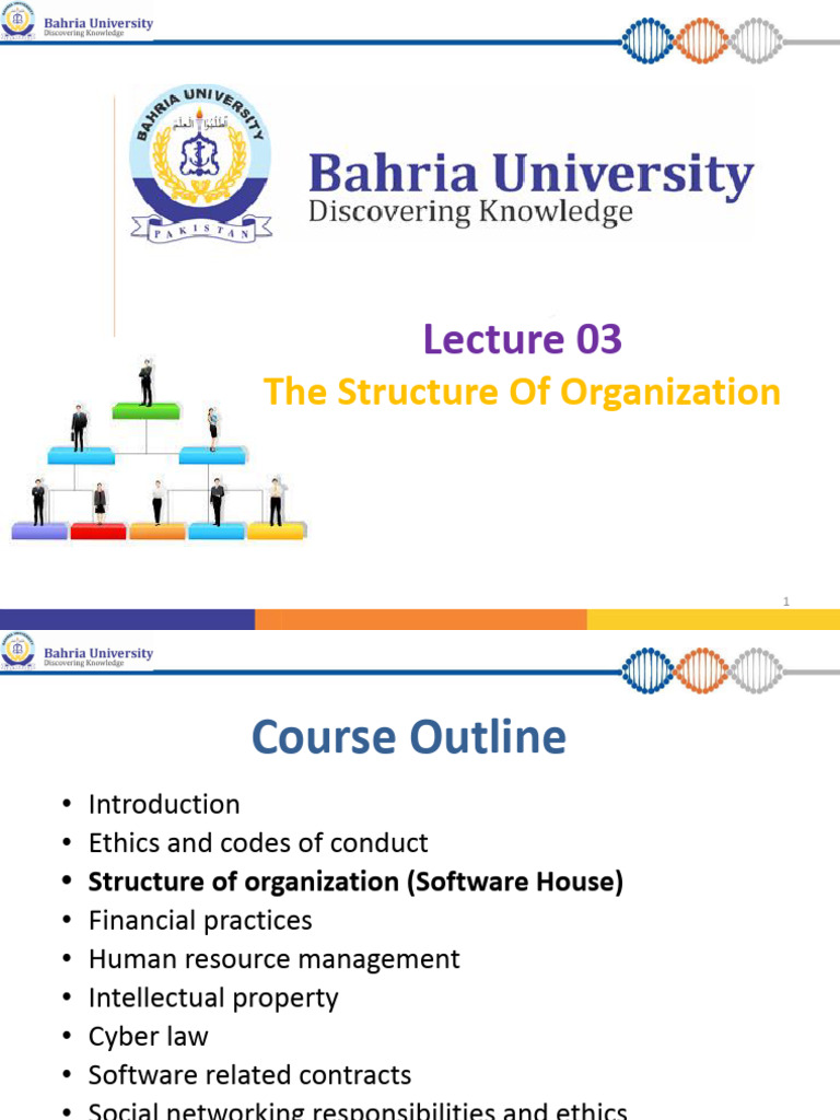 Organization Structure and Management Overview | PDF | Companies | Dividend