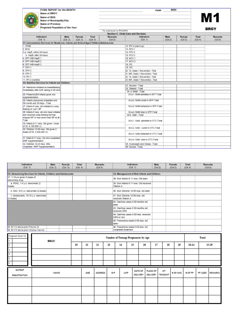 3m1 Blank | PDF