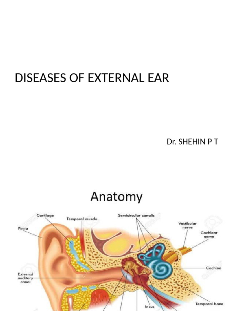 Diseases of Ext Ear - 29.1.25 | PDF