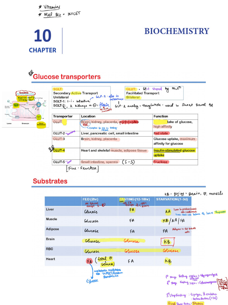 Biochem 240927 225031 | PDF | Citric Acid Cycle | Chemistry