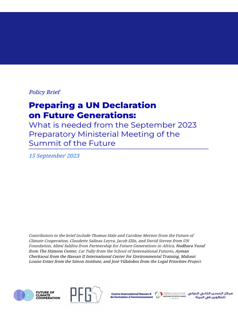 UN Declaration for Future Generations | PDF | Sustainability | Governance
