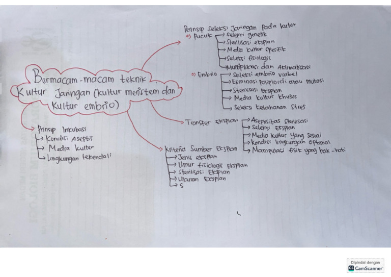 Mindmap 4 | PDF