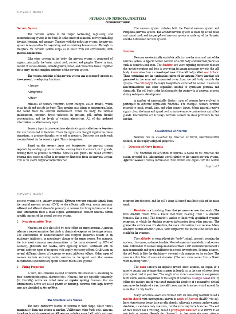 2 Neurons and Neurotransmitters | PDF | Neuron | Neurotransmitter