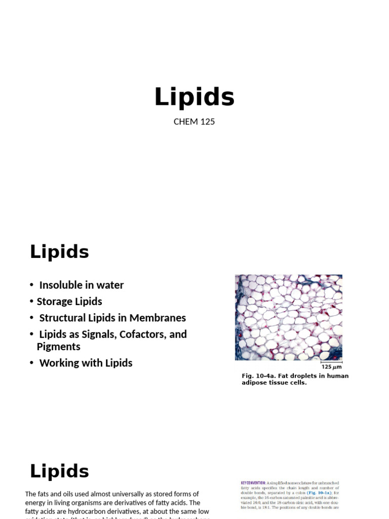 Overview of Lipids and Fatty Acids | PDF | Triglyceride | Lipid