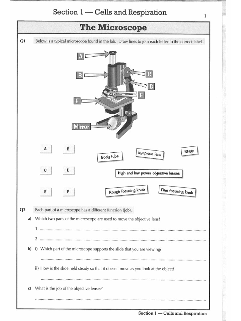Cells CGP Revision | PDF