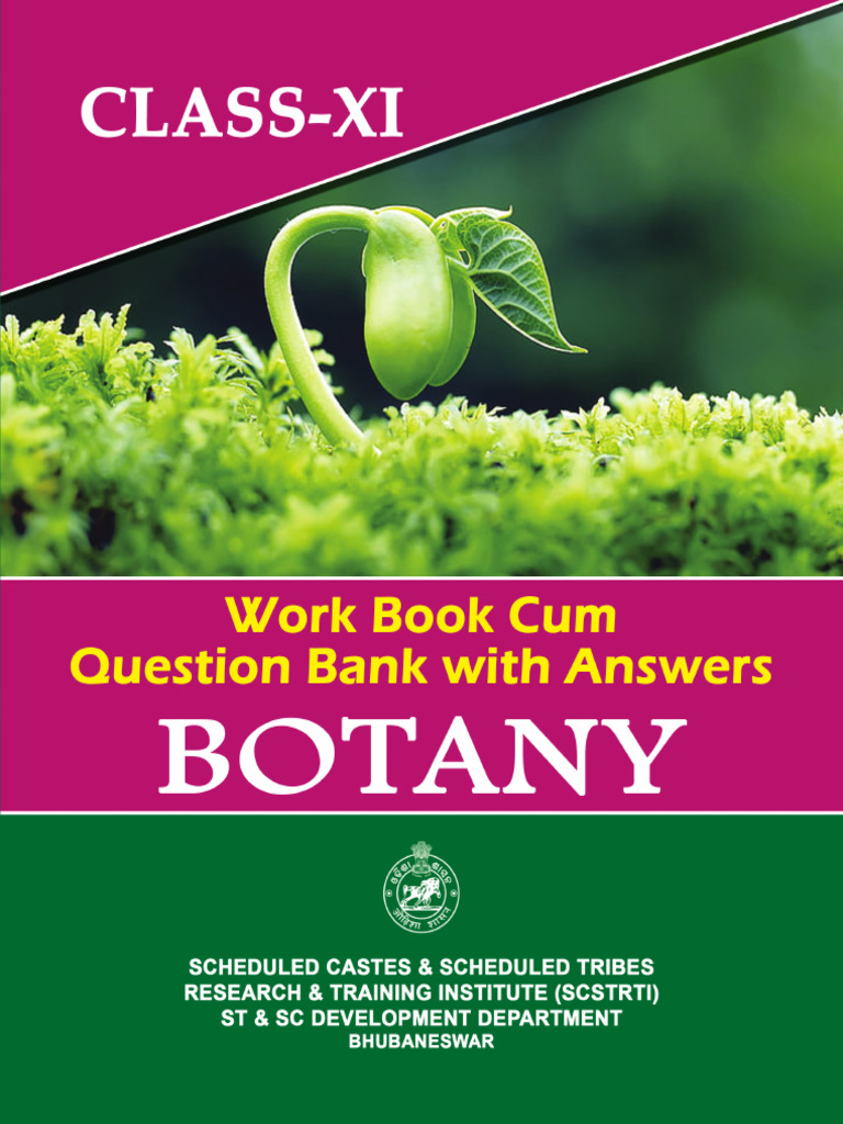 Class XI Botany Question Bank & Answers | PDF | Cellular Respiration ...