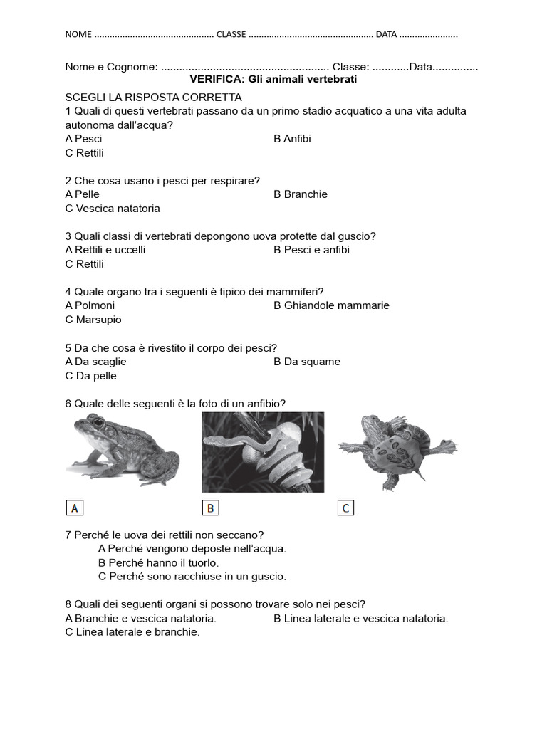 Scienze - Verifica Vertebrati | PDF