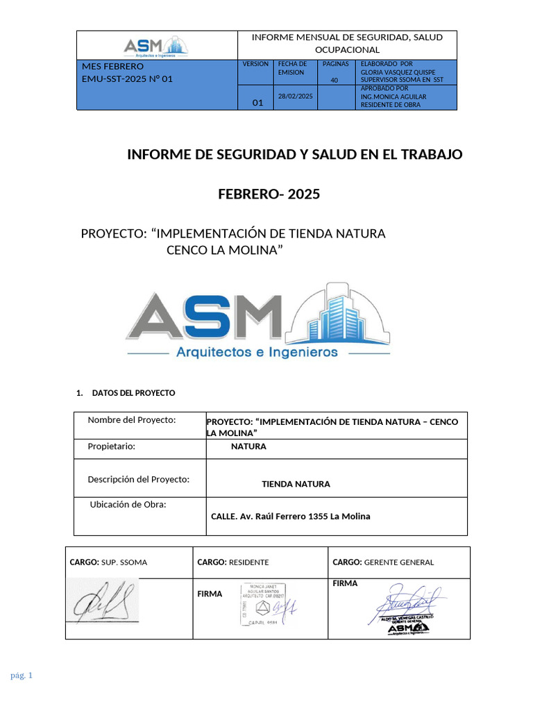 Informe Mensual SST Febrero 2025 | PDF | Seguridad y salud ocupacional ...