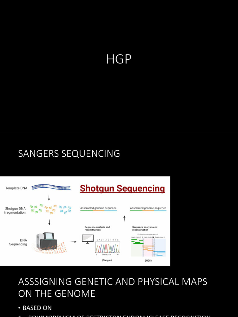 HGP Project: Sequencing and Mapping | PDF