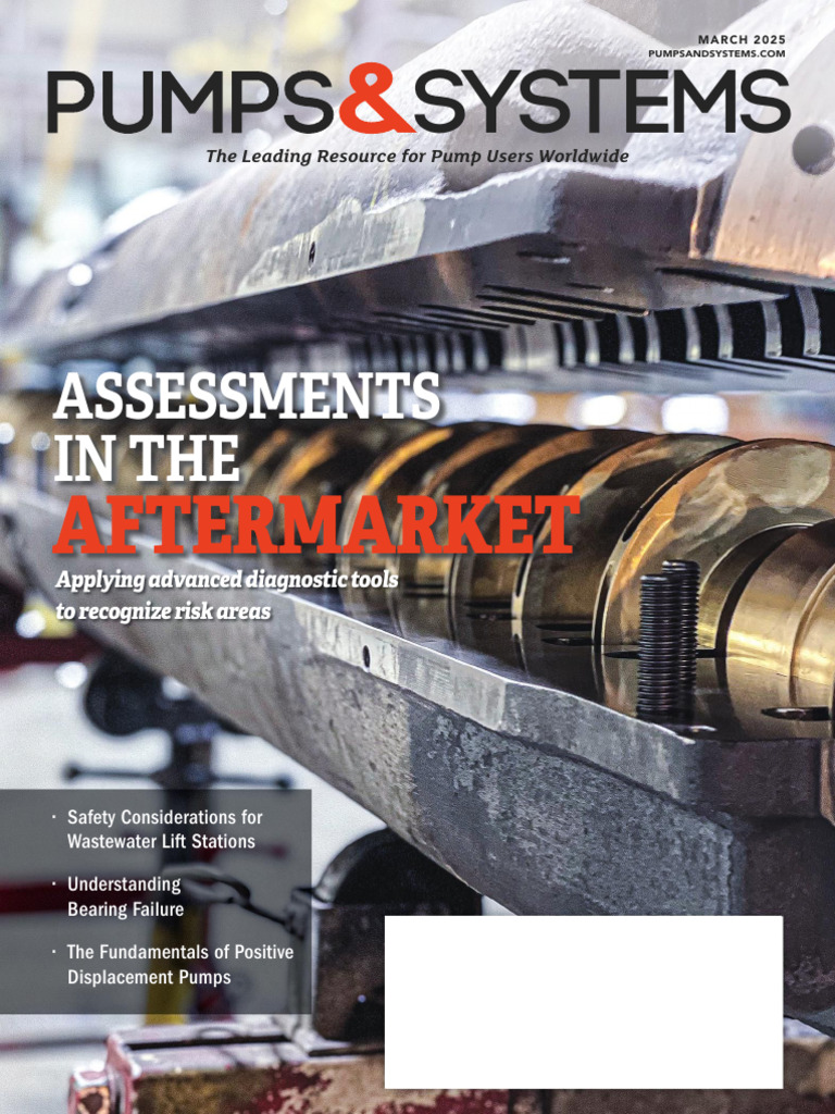 Evaluating Pump Systems and Services | PDF