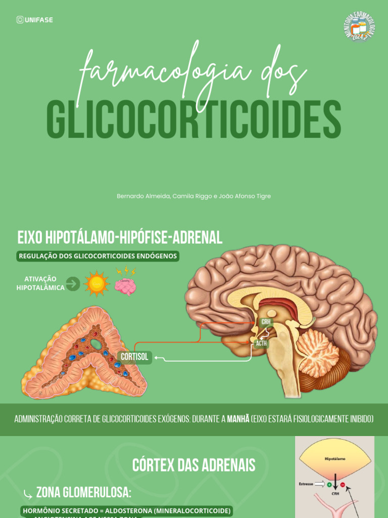Farmacologia Dos Glicocorticoides - 20250317 - 102104 - 0000 | PDF ...