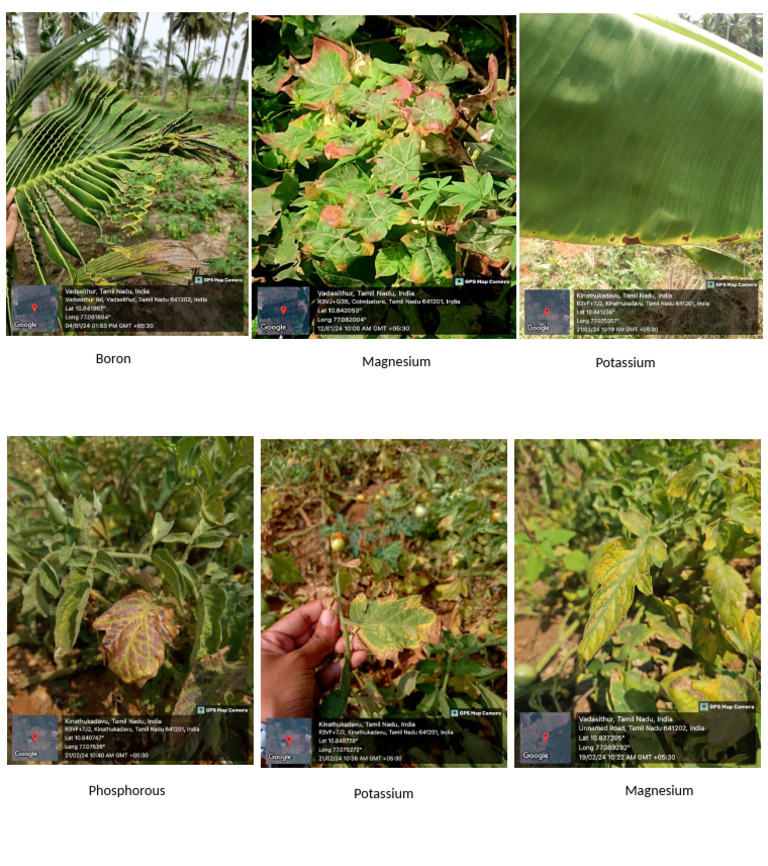Deficiency | PDF