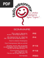 Download Guide Auto Entrepreneur by ASSANTE SN8402250 doc pdf