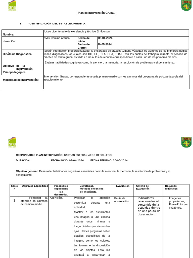 Plan de Intervencion Grupal KXSM | PDF | Pensamiento | Memoria