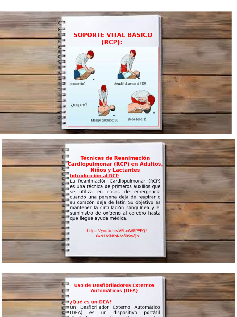 Guía de RCP y Uso de DEA | PDF | Reanimación cardiopulmonar | Medicina ...