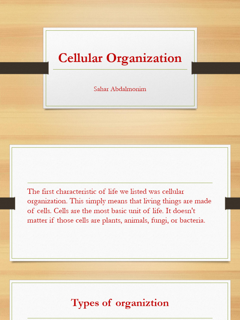 Cellular Organization | PDF | Cell (Biology) | Reproduction
