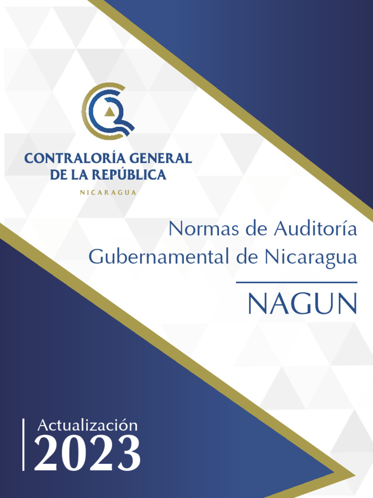 Normas de Auditoría Gubernamental 2023 | PDF | Auditoría | Contralor