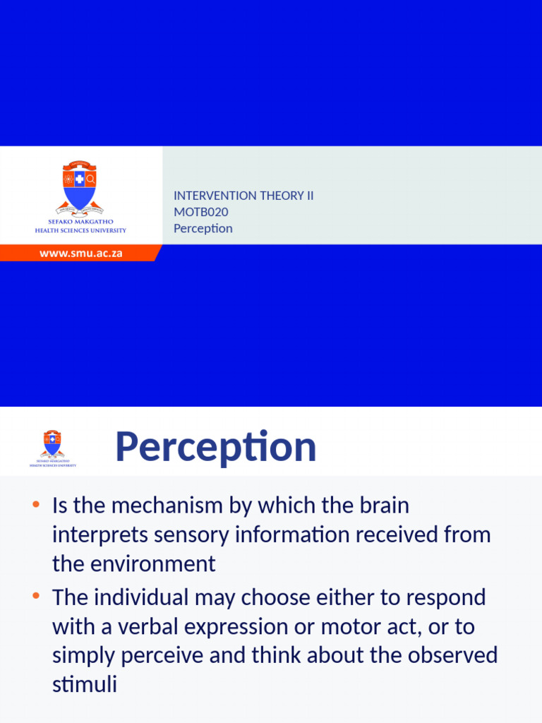 MOTB020 - Perception 2021 | PDF | Perception | Somatosensory System
