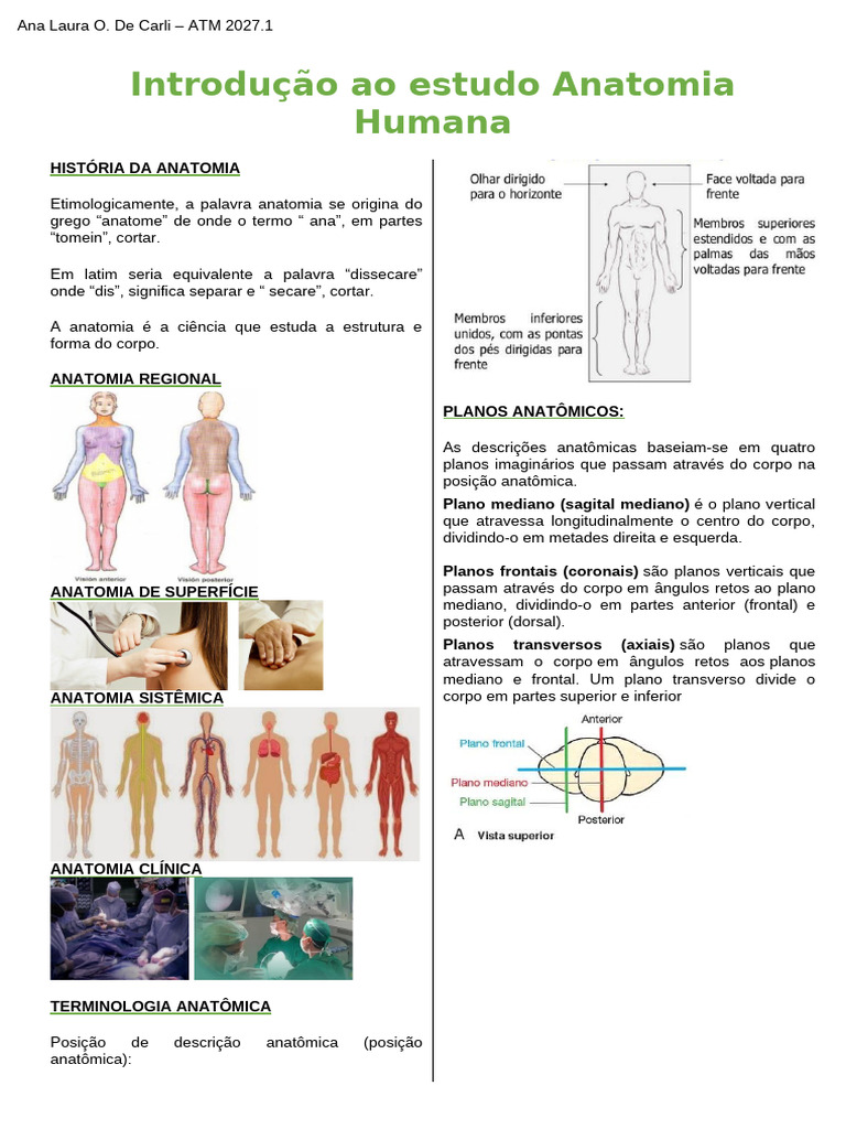 Mapa Mental da Anatomia Humana | PDF | Anatomia | Movimentos anatômicos