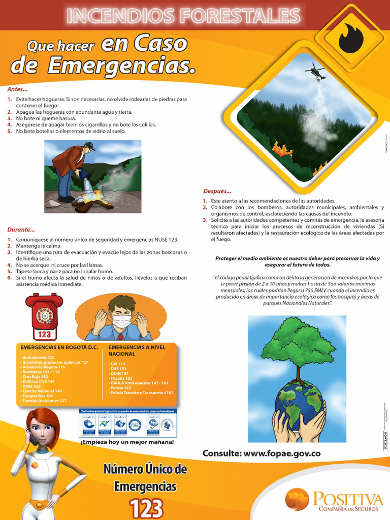 Prevención de Emergencias Por Incendios Forestales | PDF