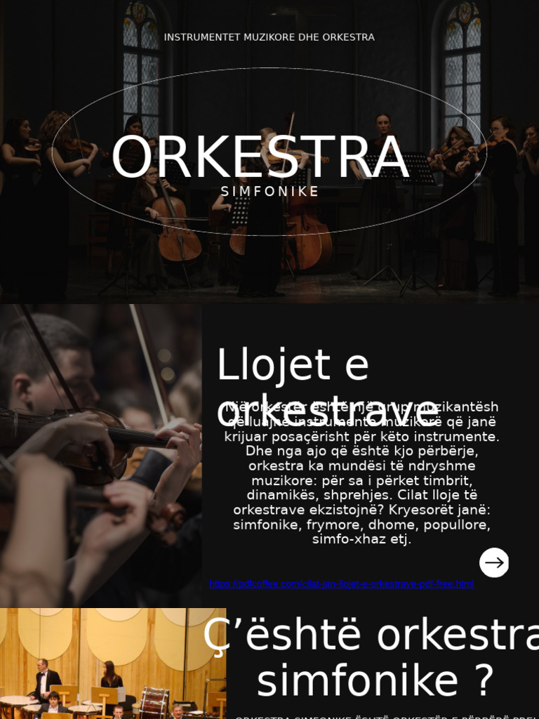 Instrumentet Muzikore Dhe Llojet e Tyre | PDF