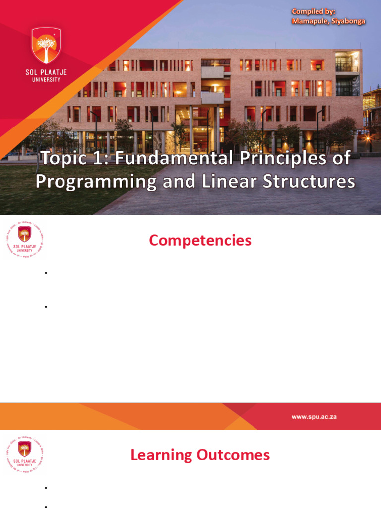 Fundamental Principles of Programming and Linear Structures | PDF ...