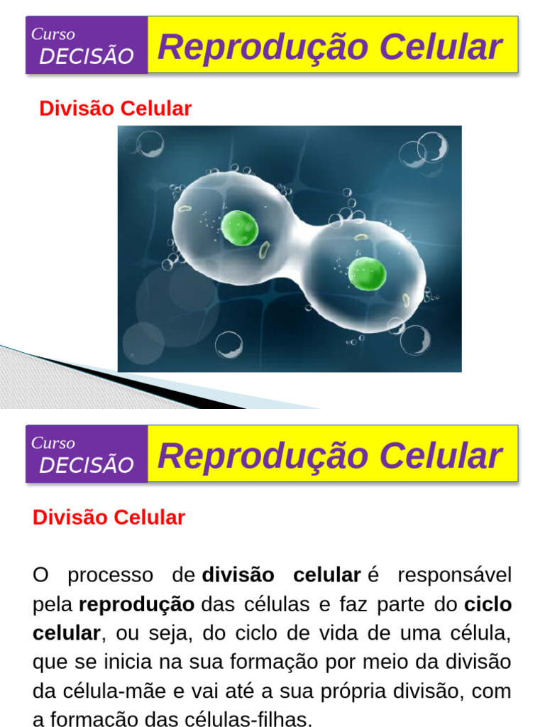 Aula 18 - Reprodução Celular | PDF | Célula (Biologia) | Reprodução sexual
