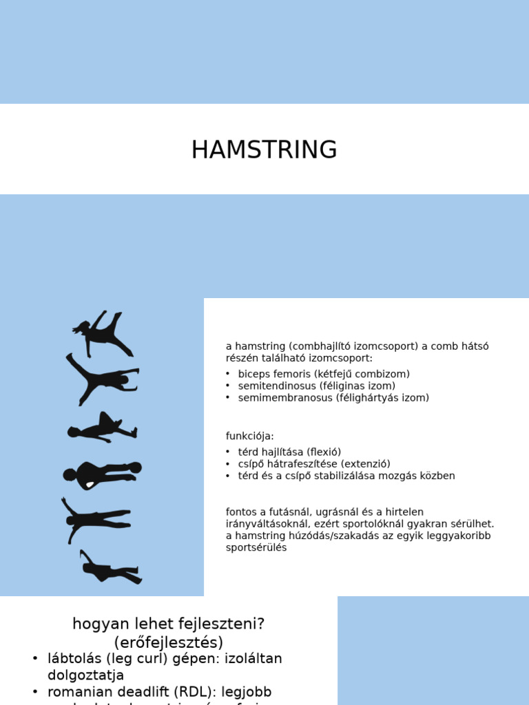 Hamstring | PDF