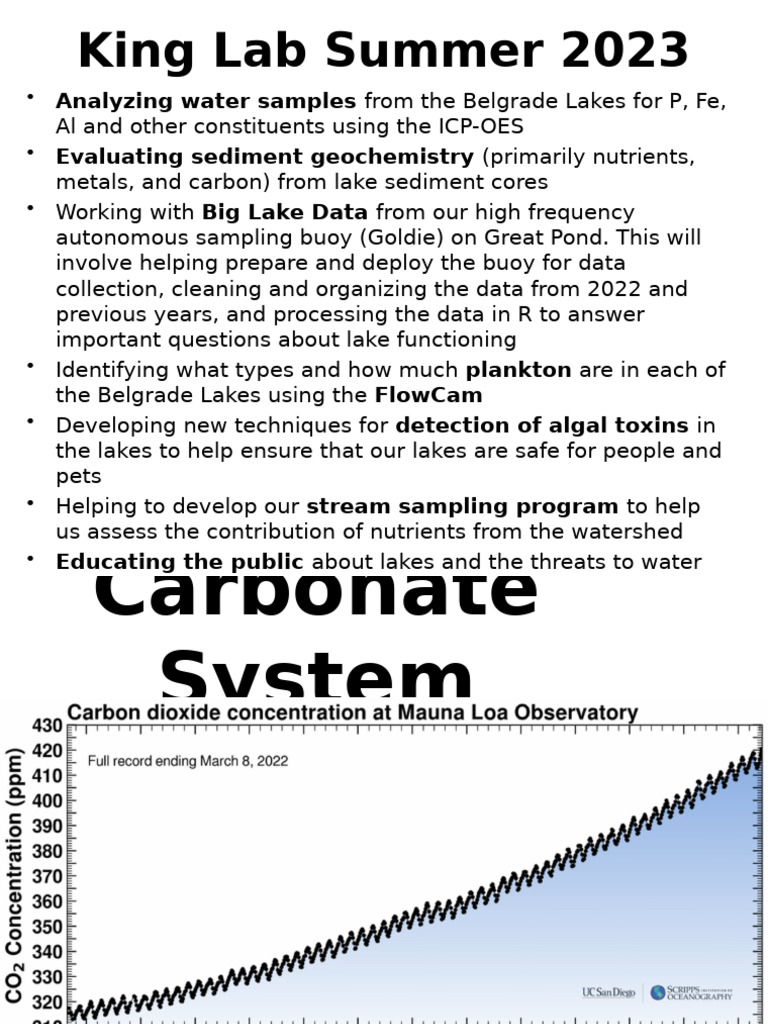 King Lab Summer 2023 Research Overview | PDF | Alkalinity | Bicarbonate