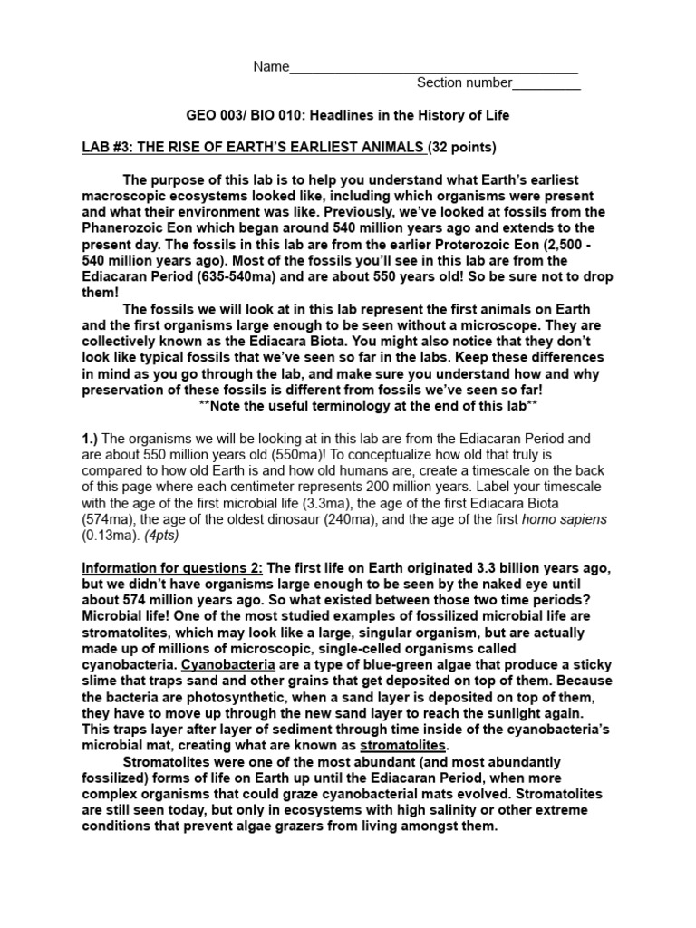 Lab+3+Blank+ +the+Rise+of+Animals+ | PDF | Geologic Time Scale ...