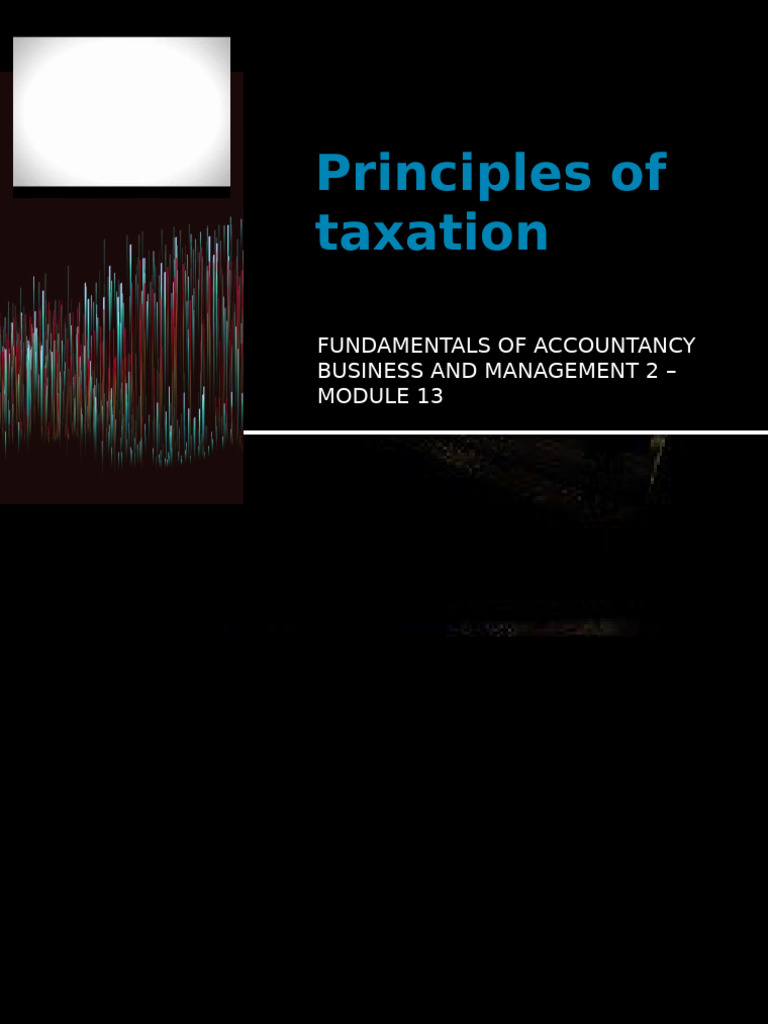 Principles Of Taxation Pdf Taxes American Government