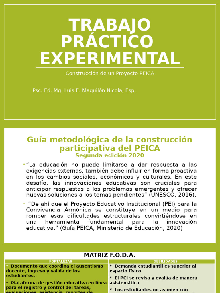 Guía para Construcción del PEICA | PDF | Análisis FODA