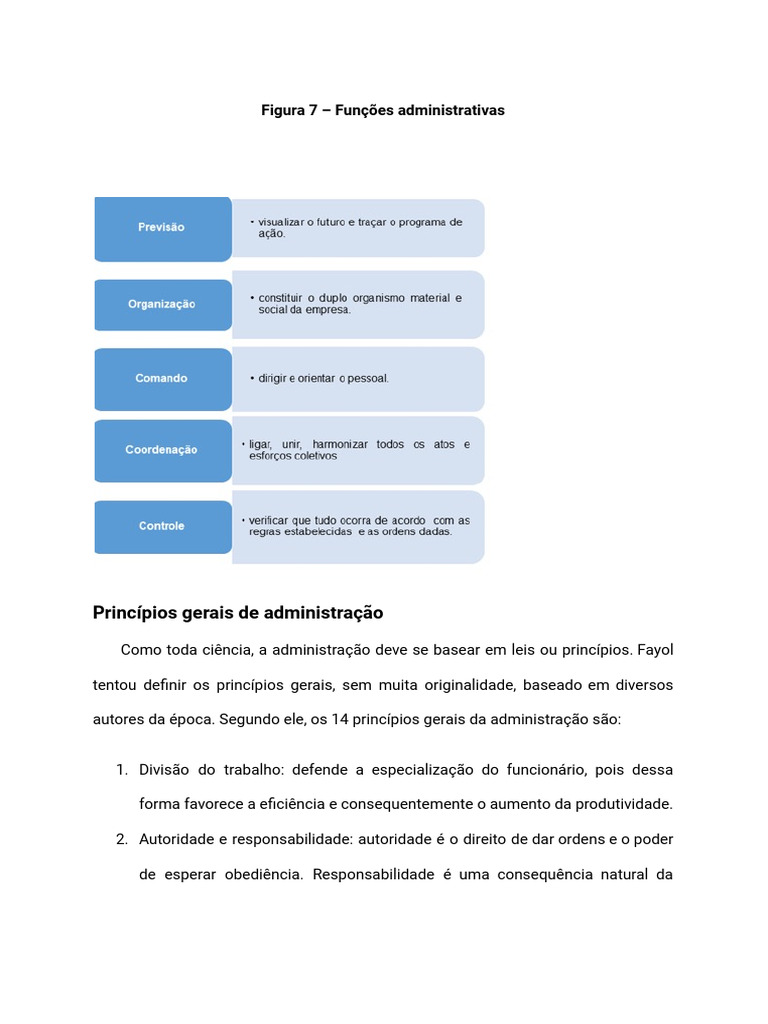 Principios Da Administração | PDF