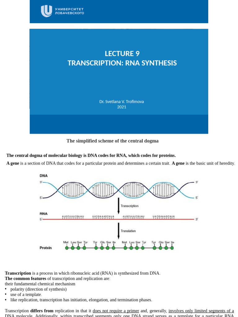 Lecture 9 Transcription | PDF | Rna Splicing | Rna