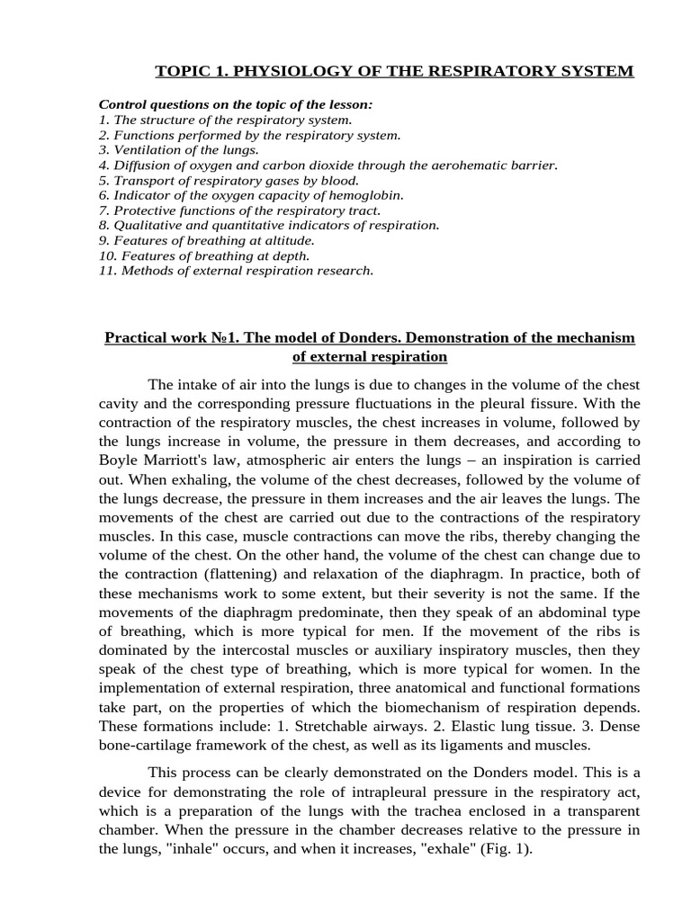 Physiology of The Respiratory System | PDF | Respiratory System | Lung