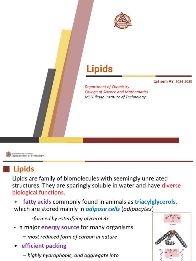Understanding Lipids: Structure and Functions | PDF | Cell Membrane ...