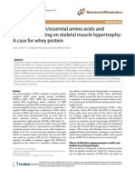 Effect of Protein or Essensial Amino Acids and Restance Training