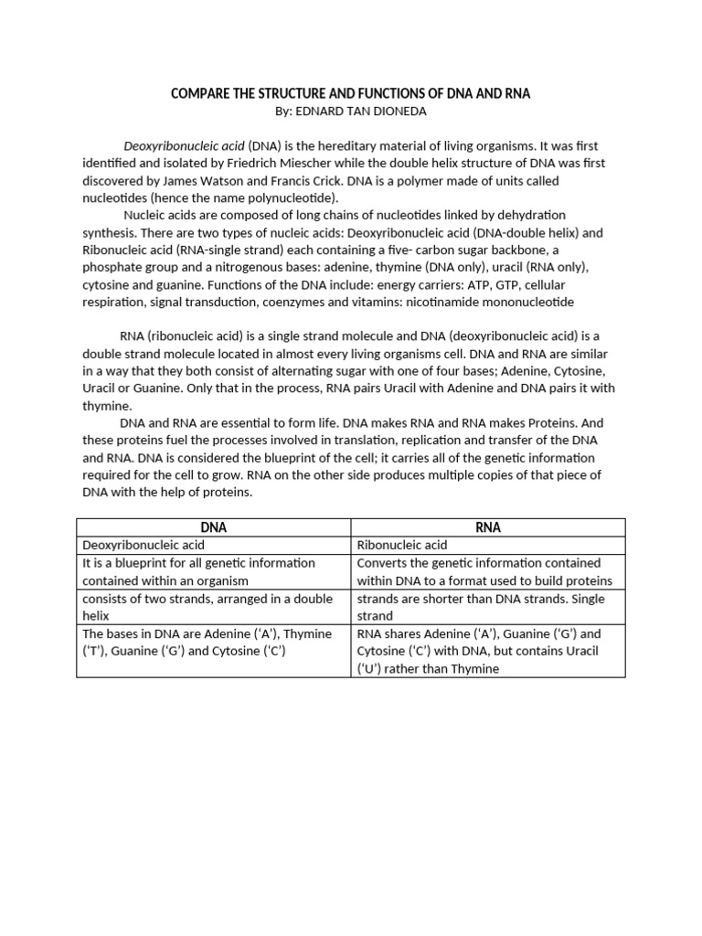 DNA vs RNA: Structure and Functions | PDF | Dna | Nucleic Acids