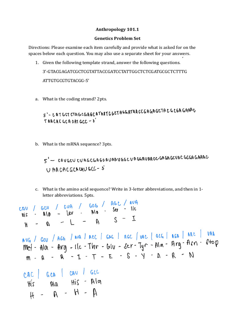 Genetics Problem Set for Anthropology 101 | PDF | Genotype | Allele