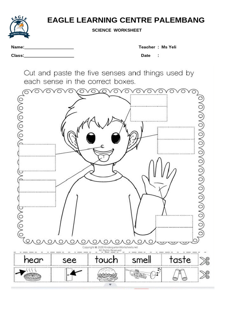 Science Worksheet for Eagle Learning Centre | PDF