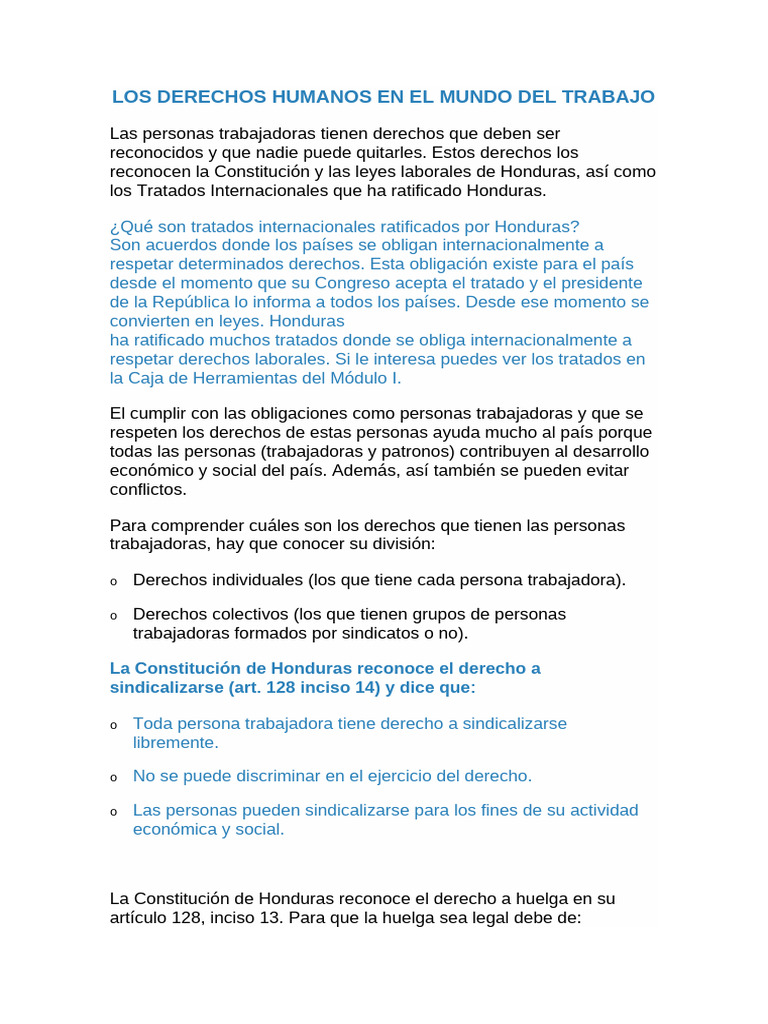 Los Derechos Humanos en El Mundo Del Trabajo | PDF | Derecho laboral ...