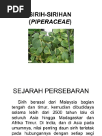 Download SIRIH-SIRIHAN PIPERACEAE by Lina Watilubis SN84046818 doc pdf