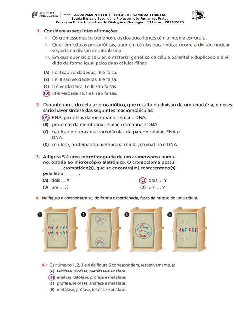 Exer Teste Nov24 CC | PDF