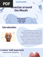 Anatomy and Structure of Lips | PDF | Lip | Human Anatomy