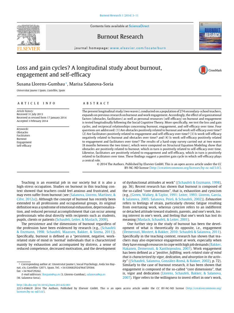 Burnout Research-Susana Llourens | PDF | Self Efficacy | Occupational ...