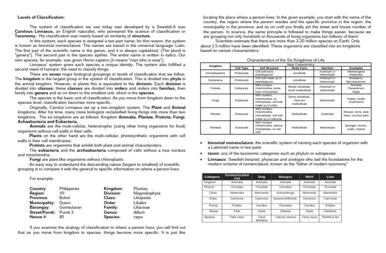 Understanding Linnaeus' Classification System | PDF | Cell (Biology ...