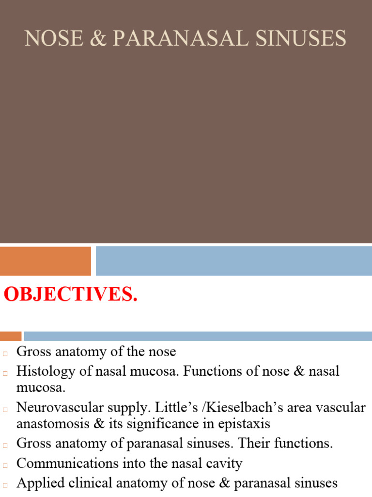Anatomy and Functions of Nose & Sinuses | PDF | Human Nose | Primate ...