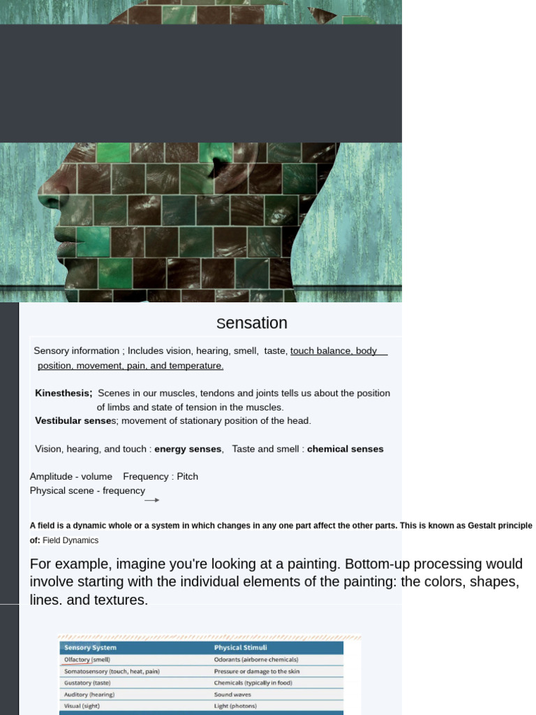 Understanding Sensation and Perception | PDF | Perception | Senses