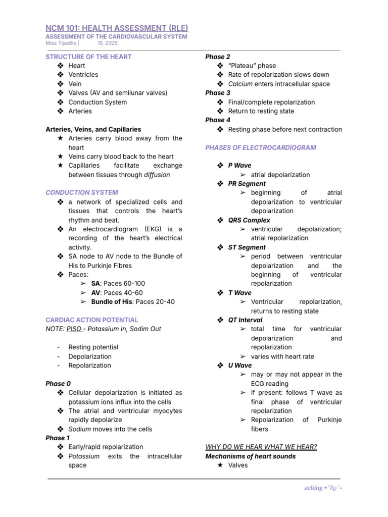 Cardiovascular System Assessment Guide | PDF | Heart | Heart Valve